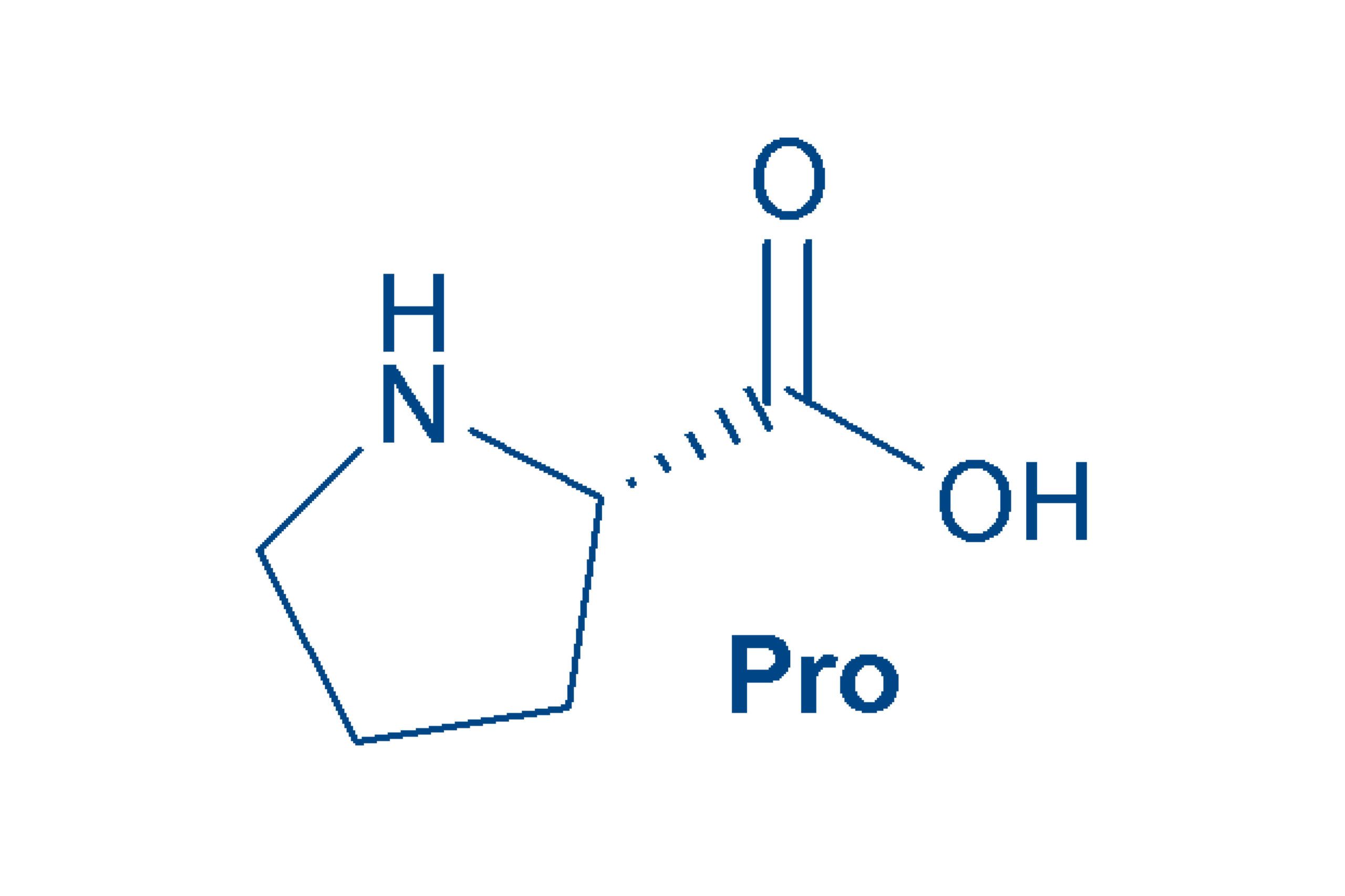 amino acid pro